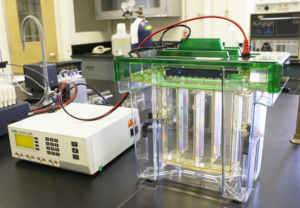 02_Research Laboratory Picture